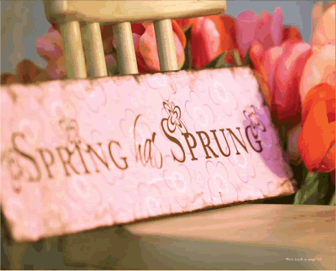 http://www.foryearstocome.com/Images/Spring%20Has%20Sprung.gif
